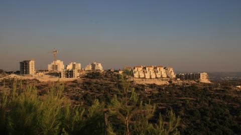 תמונה 009.jpg