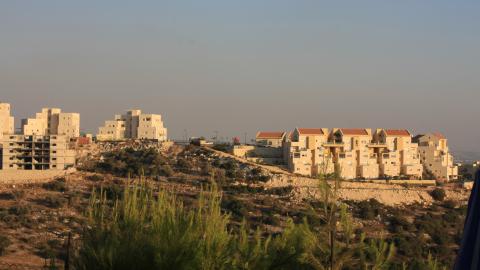 תמונה 010.jpg