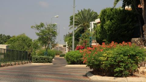 תמונה 075.jpg