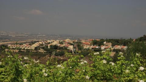 תמונה 085.jpg